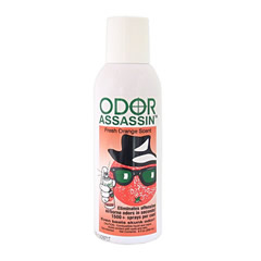 Dirt Devil 115032 Odor Assassin - Fresh Orange Scent